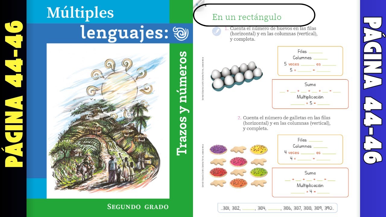 Múltiples lenguajes: trazos y números página 44-46 │En un rectángulo