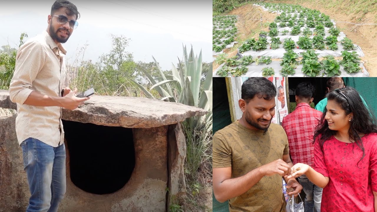 Strawberry, Blackberry farms in Kanthalloor. 3000 BC Megalith in Marayoor | Tamil Travel Vlog