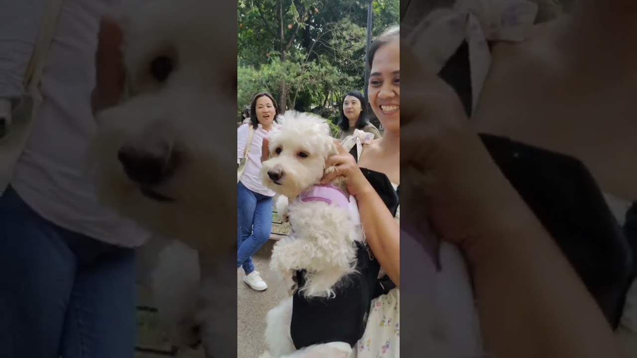 Nagkita at nag bonding naman mga inday sa chinese garden at jones bridge