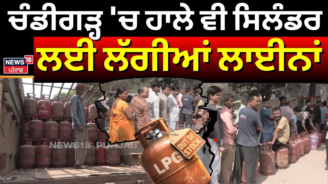 Chandigarh LPG Shortage | ਚੰਡੀਗੜ੍ਹ 'ਚ ਹਾਲੇ ਵੀ ਸਿਲੰਡਰ ਲਈ ਲੱਗੀਆਂ ਲਾਈਨਾਂ | Iran War | N18V