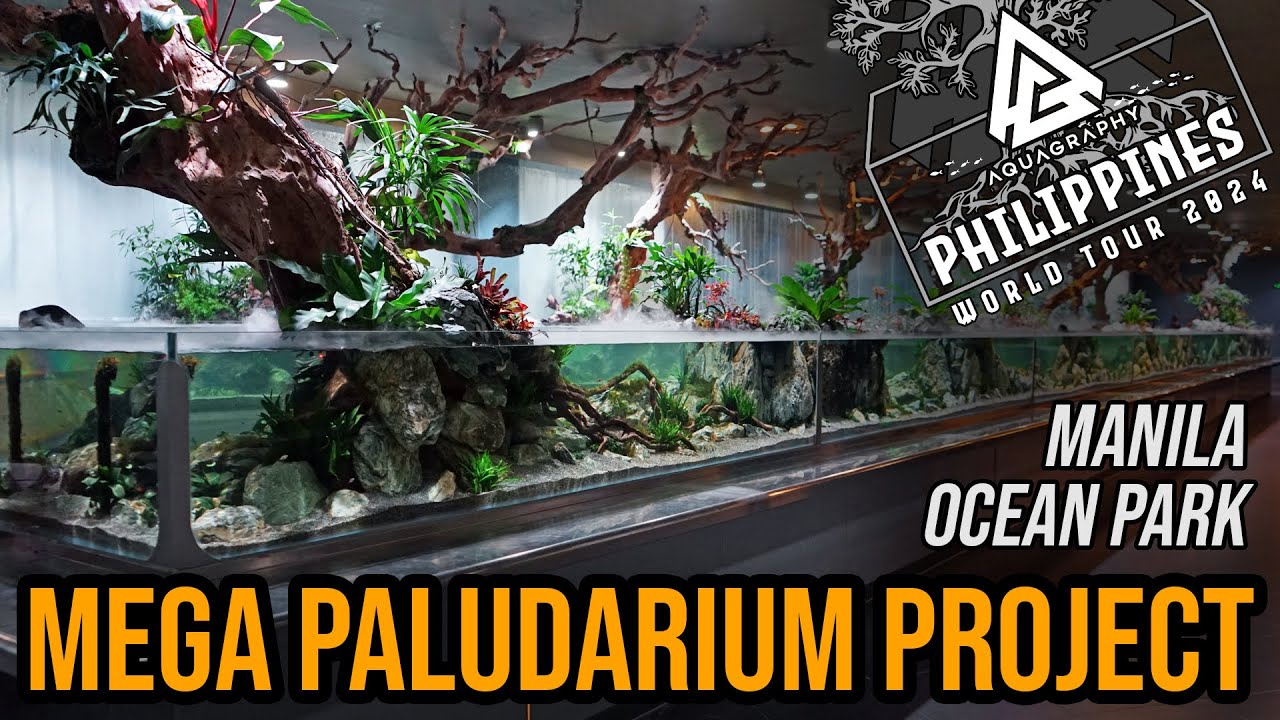 Manila Ocean Park - Mega Paludarium Project 01