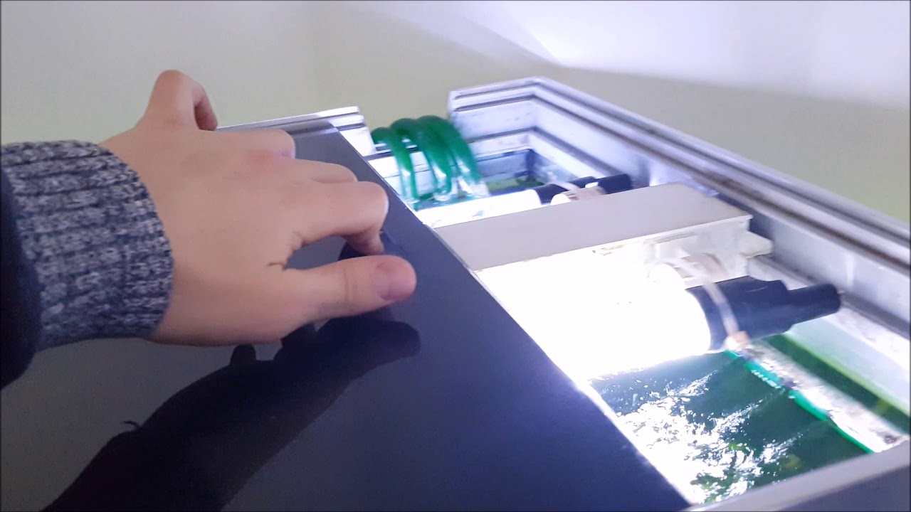 Eheim Proxima Review nach 2 Jahren