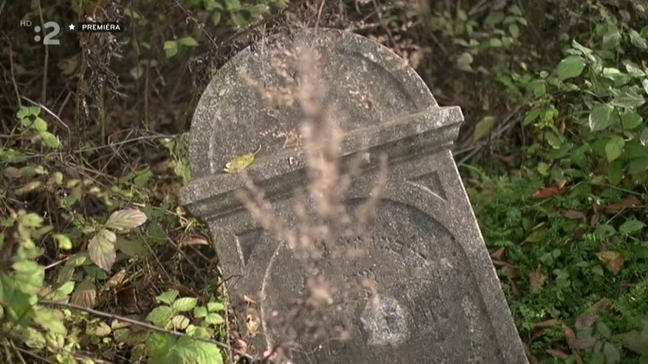 Encyklop&eacute;dia slovensk&yacute;ch obc&iacute; - Raslavice
