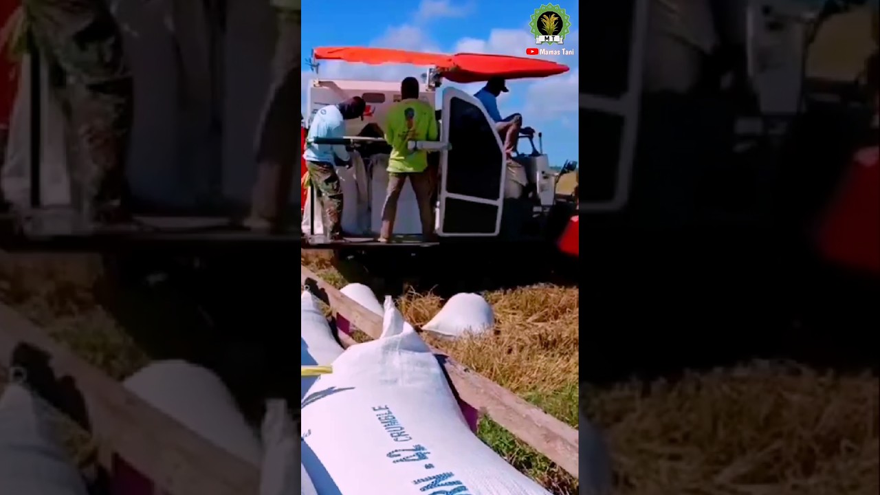 Mesin Panen Padi Moderen komben kubota #mamastani
