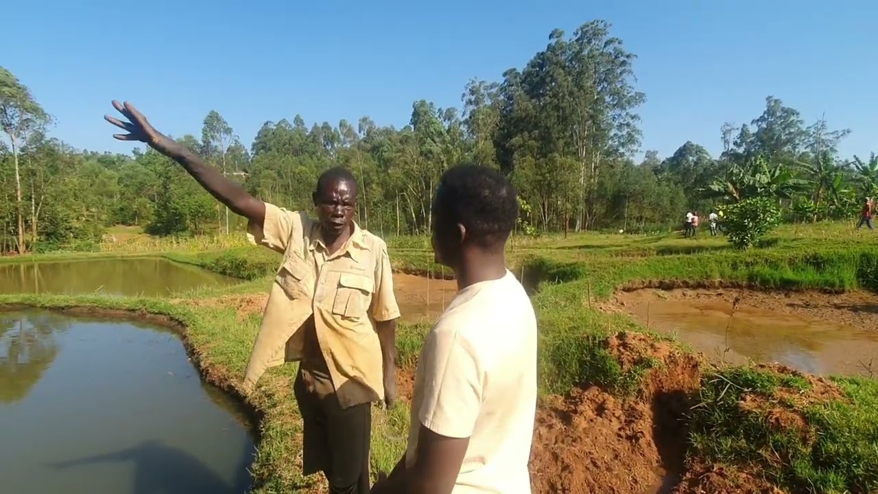 WHY KENYAN FARMERS are turning to Fish Farming | FARMING IN KENYA 🇰🇪