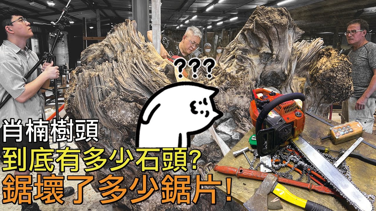 Molisaka In The Word ｜肖楠原木大剖