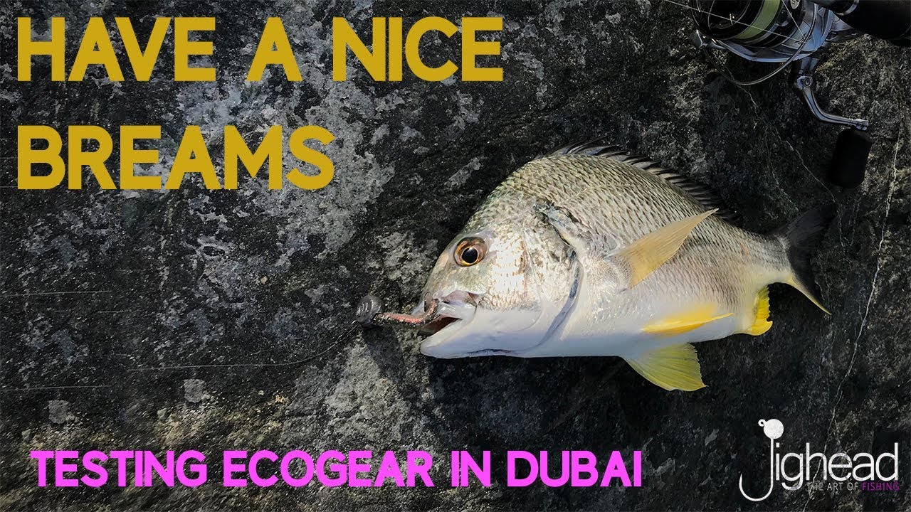 Ecogear Balt 3,5&rdquo; testing in Dubai