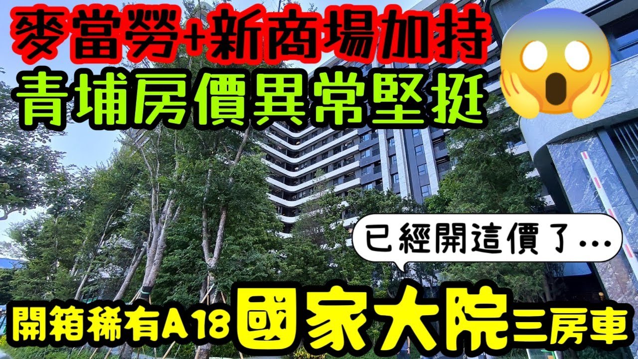 桃園青埔不只有麥當勞還有新商場🥳A18站前「國家大院」三房已經開到這個價了😱...桃園房地產 青埔 中路 小檜溪 八擴 楊梅 龜山參考