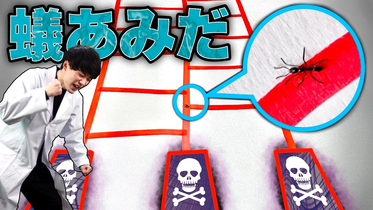 アリにあみだくじの上を歩かせて罰ゲームを決めました