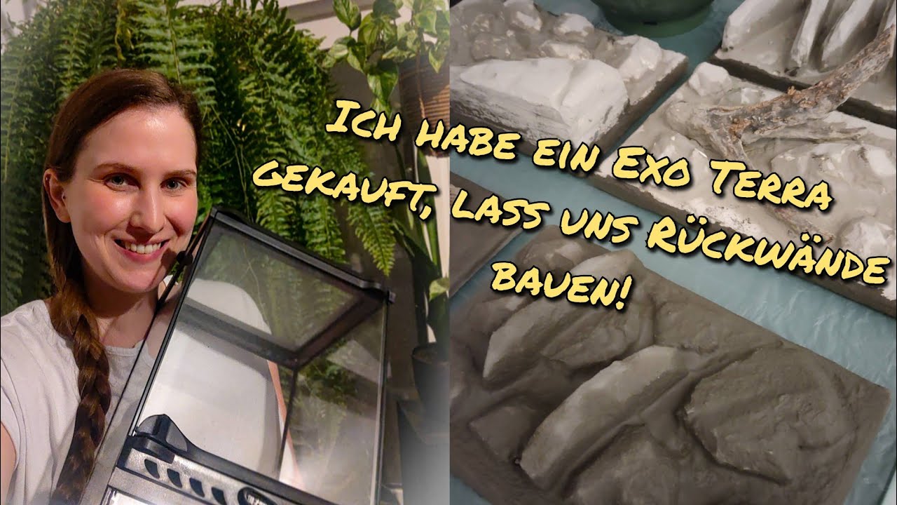 Я купил Exo Terra, давайте создадим несколько фонов!
