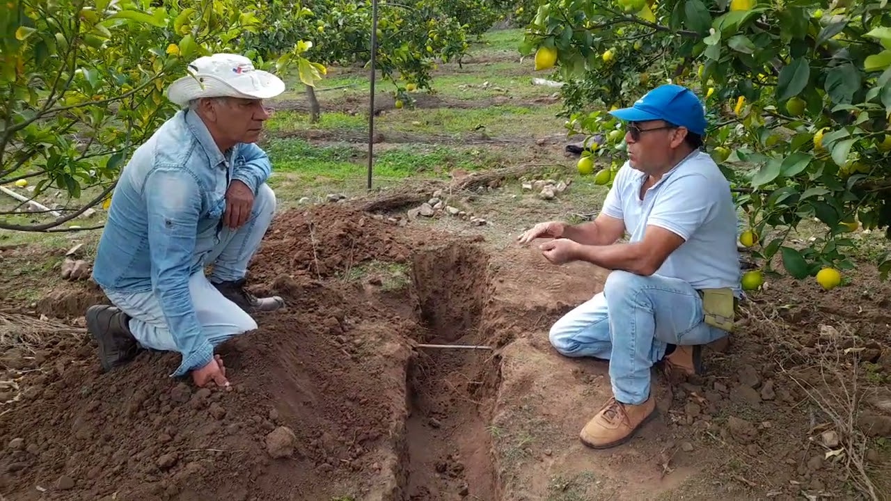 MANEJO RIEGO  SUBTERRANEO EN  SECANO COSTERO  REGION DE COQUIMBO