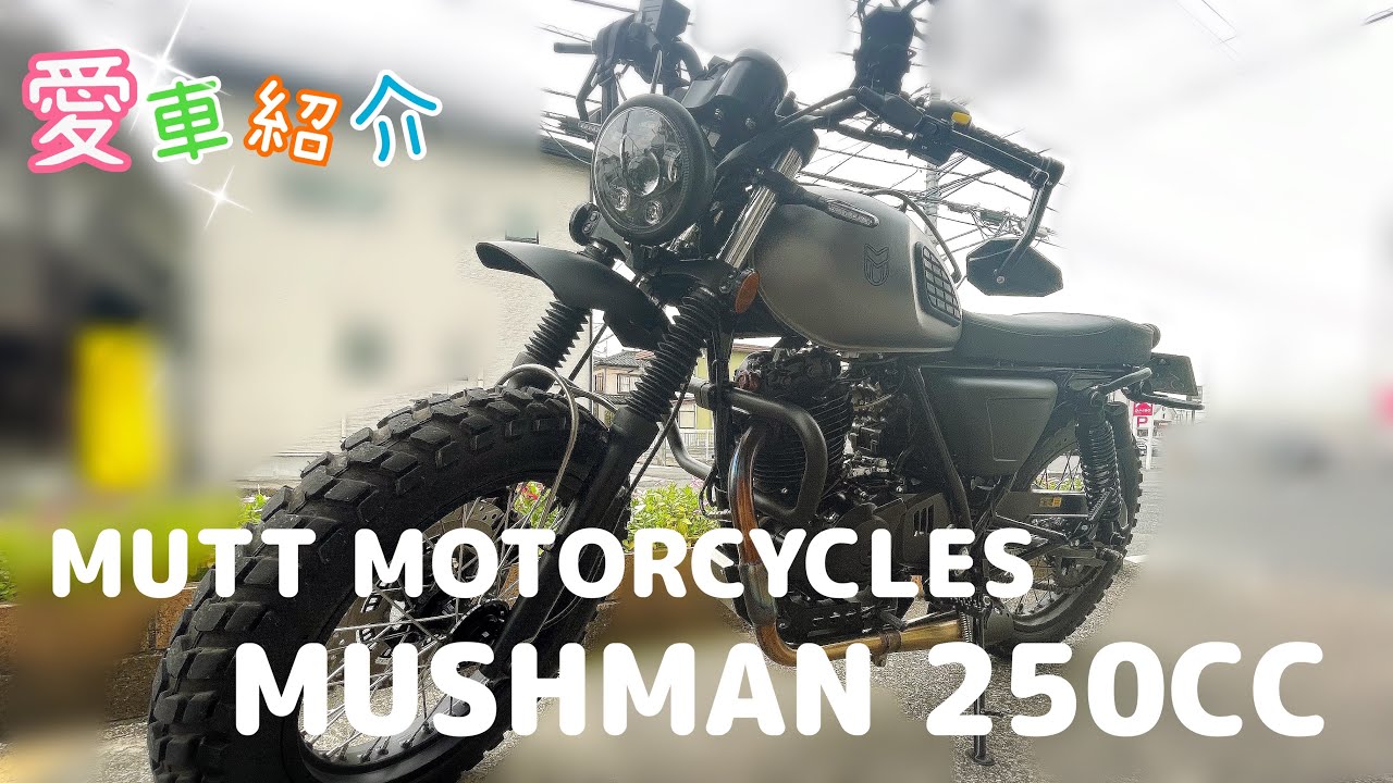[Motorcycle] MUTT MOTORCYCLES✨ MUSHMAN 250CC [My Favorite Motorcycle]
