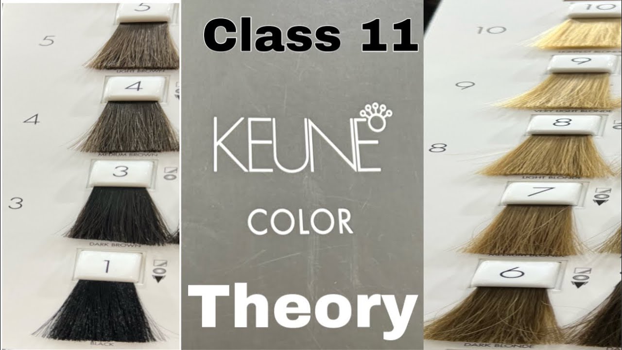Hair Colour  Theory Class 11||What is Natural Colour? Complete  colour Information For Bigners .
