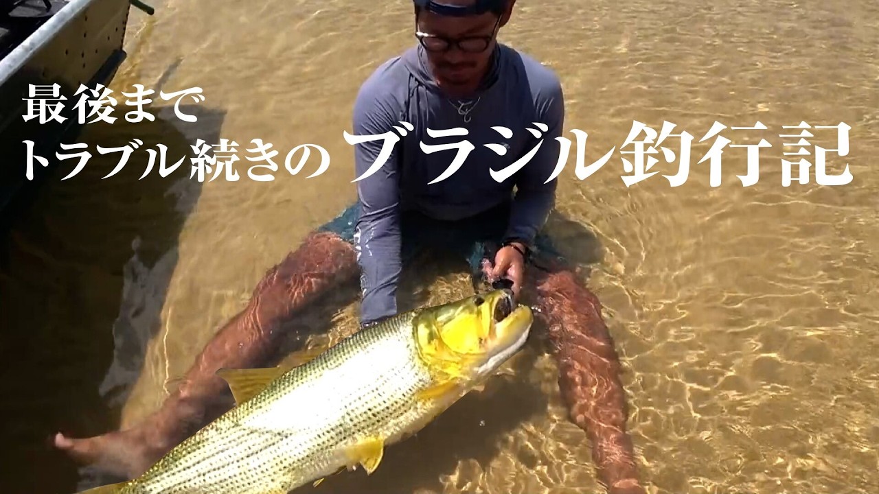 釣れる魚が全て黄金に輝く不思議な川で9日間の釣り合宿。ドラードに挑む！ - 2024年1月 ブラジル・サンフランシスコ川釣行総集編