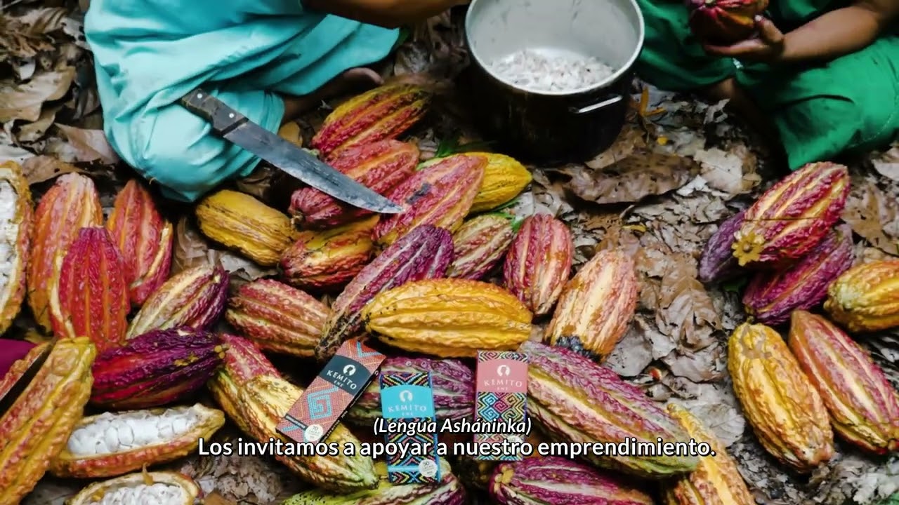 KEMITO ENE: Productores de Cacao y Café Sostenible