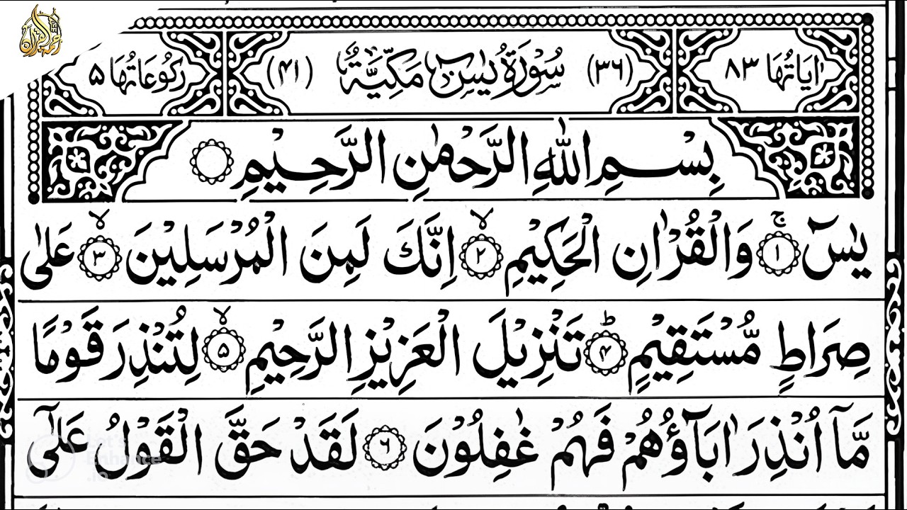 Surah Yaseen Surah Ar Rahman | Best Quran Recitation | Surah Yasin Tilawat | Episode_002