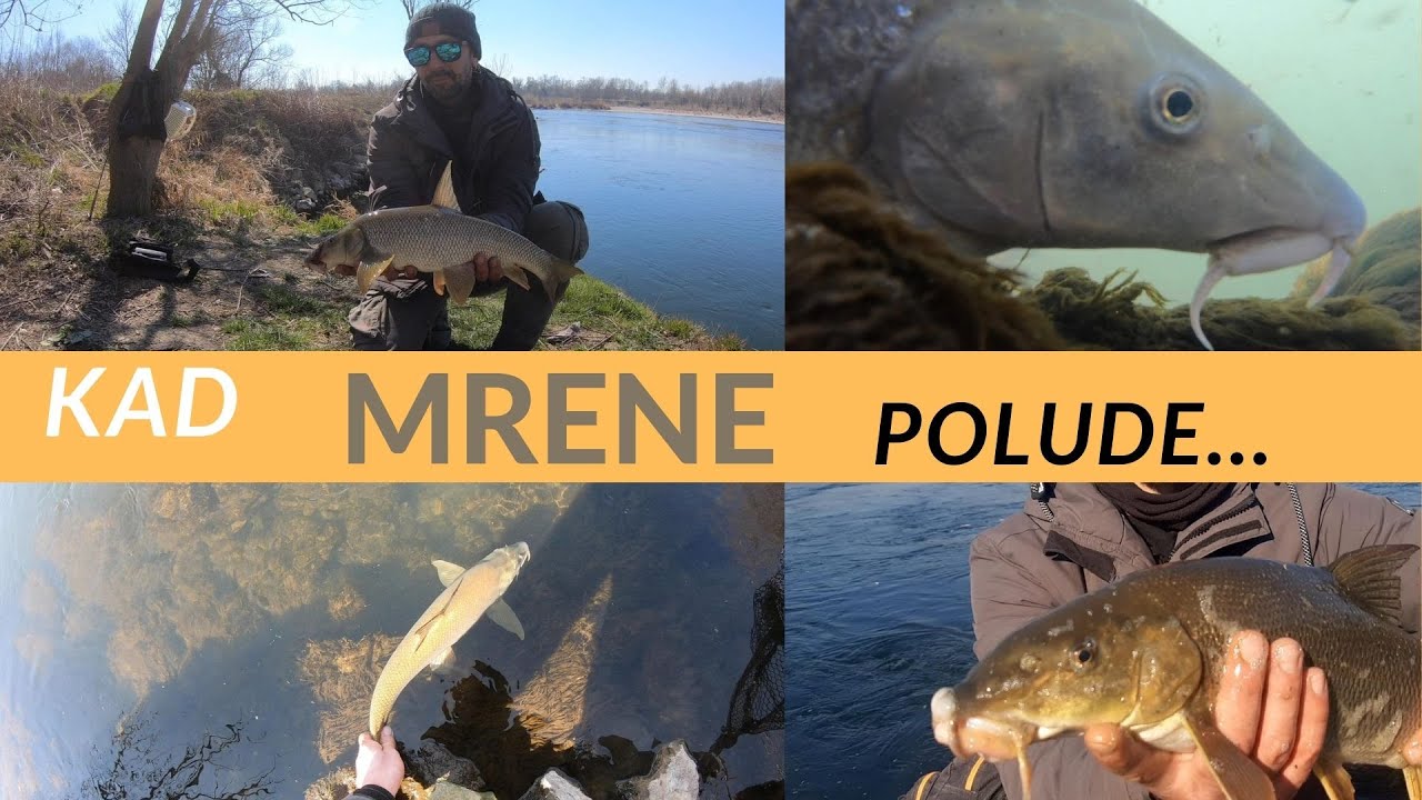 Mrene na varalicu #01