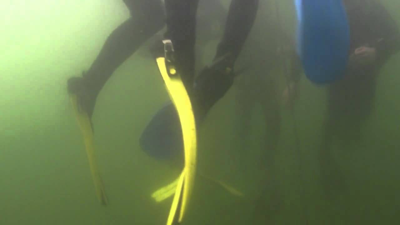 Dive Wimbledon Open Water Qualifying Dives 23/24 July 2011