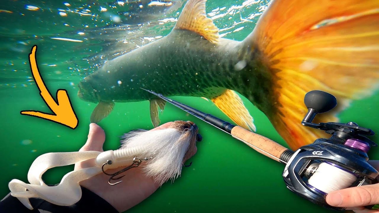 Trying MOUSE Lure for BIG Fish!