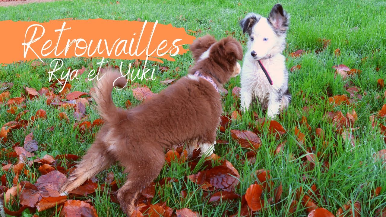 RYA RETROUVE SA SOEUR YUKI