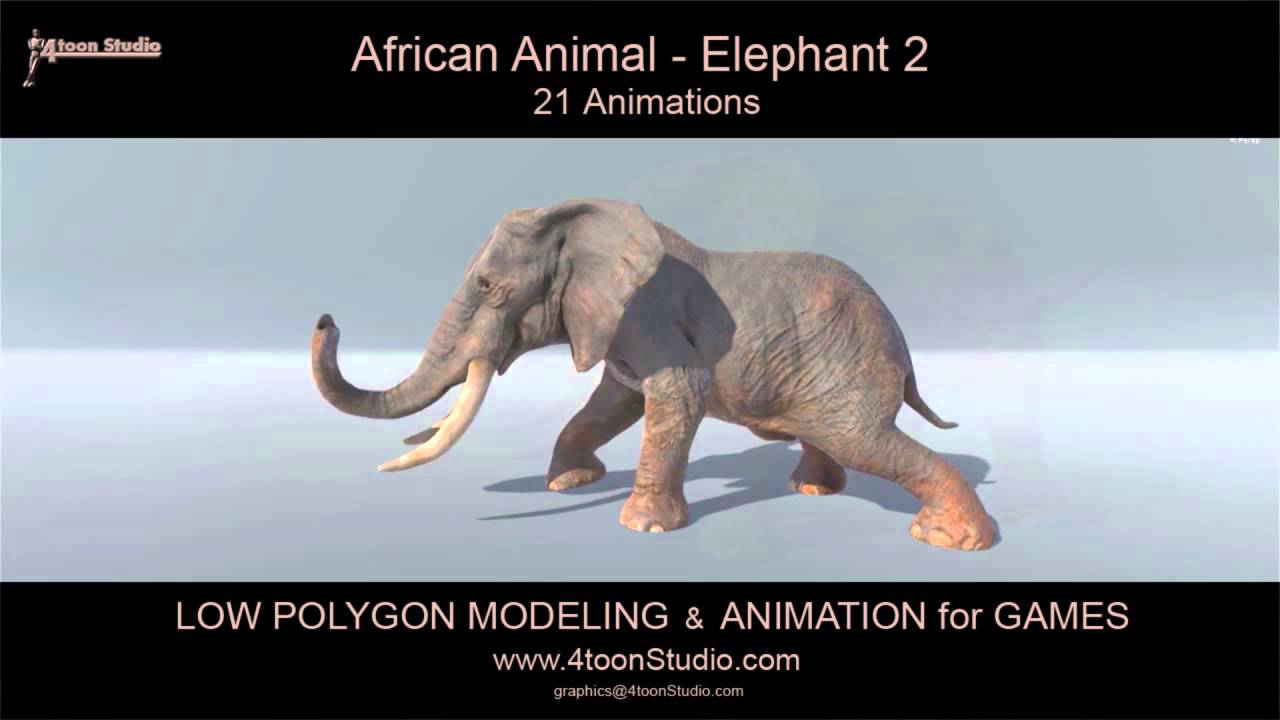 Elephant
