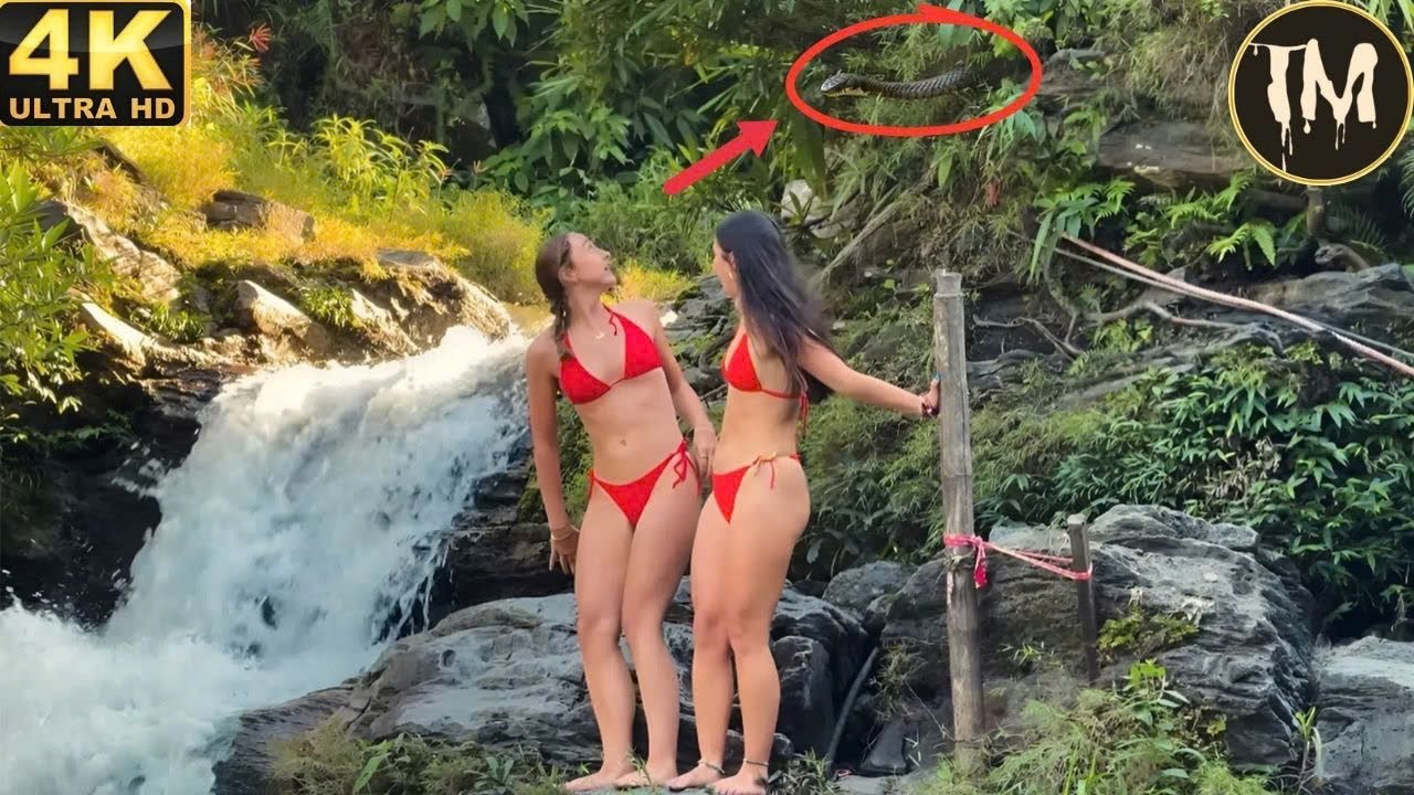 Moments Of Instant Karma Caught On Camera | Instant Regret Fails Compilation 2025 #277