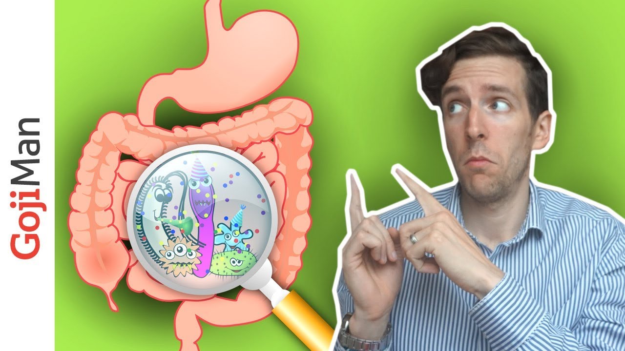 Why Only A Vegan Diet Can Heal The Gut