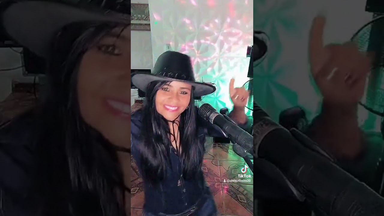 melhores sofrência aqui com chris ribeiro