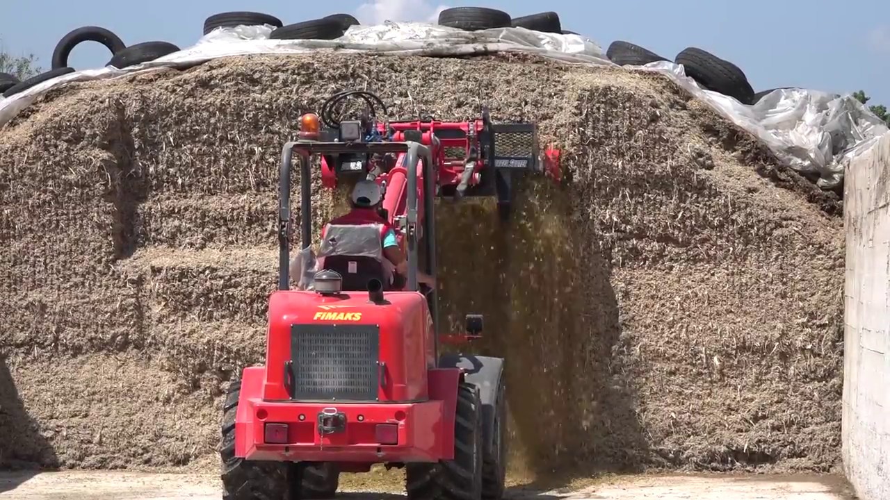 Fimaks Loader
