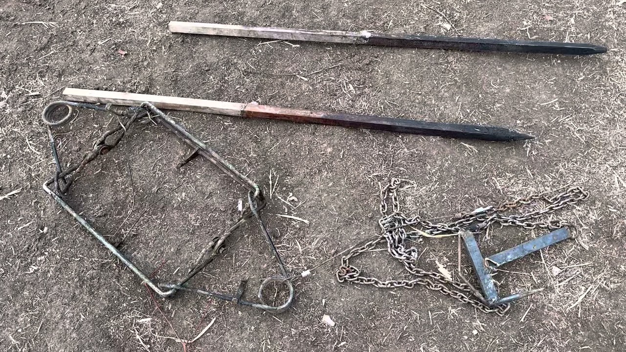 Beaver body grip set up with conibear style trap, sabertooth drag and stakes