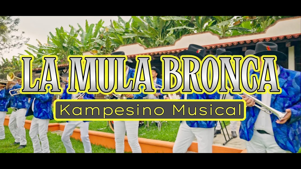 Kampesino Musical - La Mula Bronca
