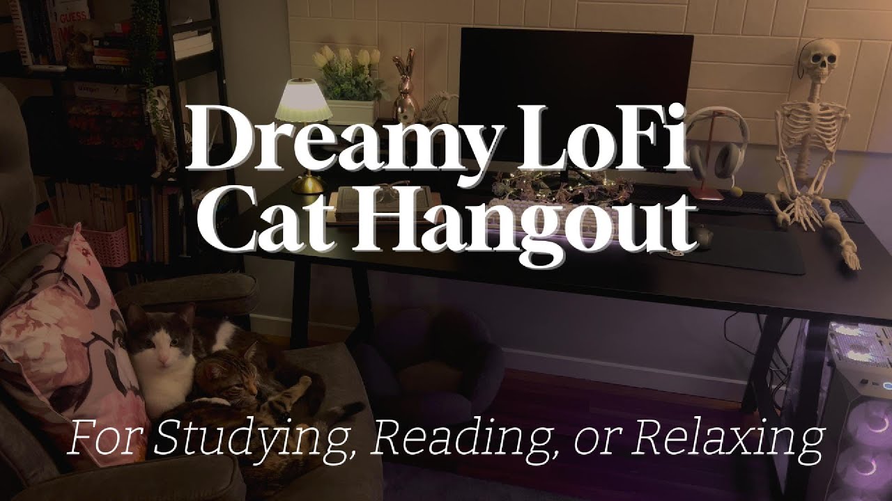 Dreamy Lofi Cat Hangout | Study, Read, Relax, Focus (Realistic, No AI)
