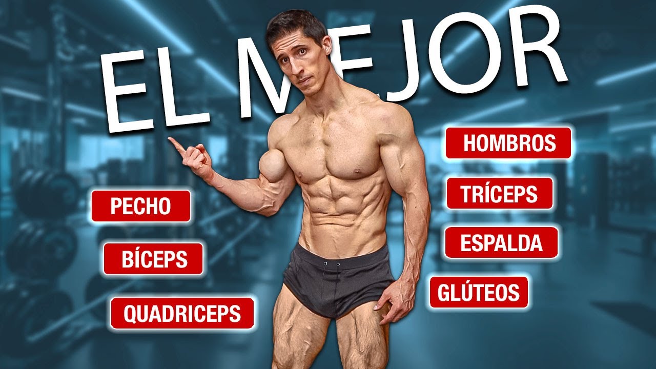 Los Únicos Ejercicios que Necesitas para Estar Musculoso ¡PARA CADA GRUPO MUSCULAR!