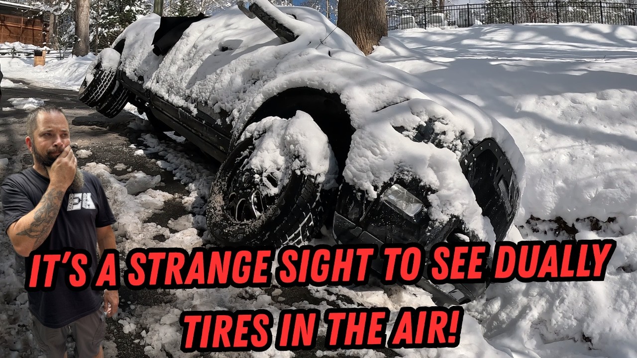 An Unusual Sight! | Day 2 Snow & Ice Recoveries
