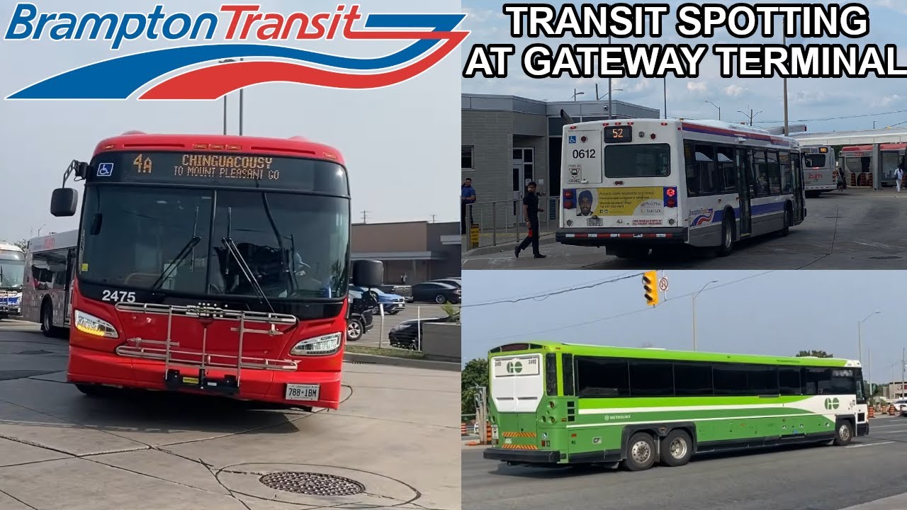 Brampton Transit | Bus spotting at Brampton Gateway Terminal