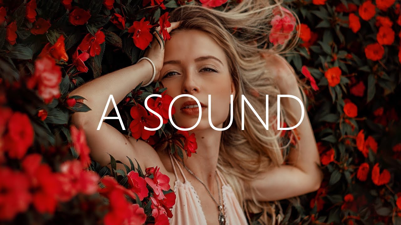 ARMNHMR & Nurko - Won't Make A Sound (Lyrics) feat. Micah Martin