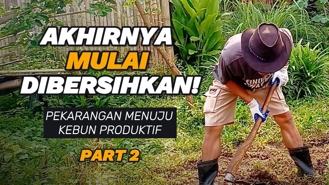 Akhirnya Mulai Dibersihkan! Pekarangan Menuju Kebun Produktif Part 2 #berkebundirumah #petanipemula