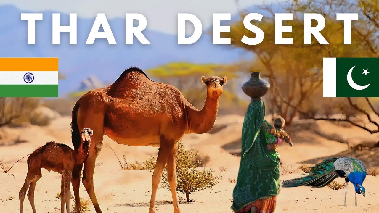 Thar desert india pakistan border life | Beautiful tharparkar 