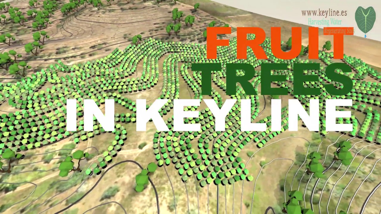 Design of ~ 30Ha of fruit trees in keyline