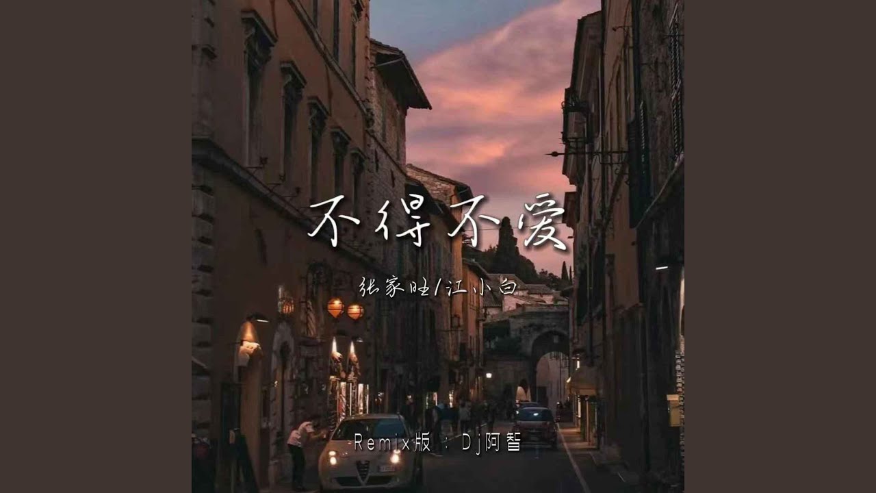 不得不爱 (DJ阿智版)