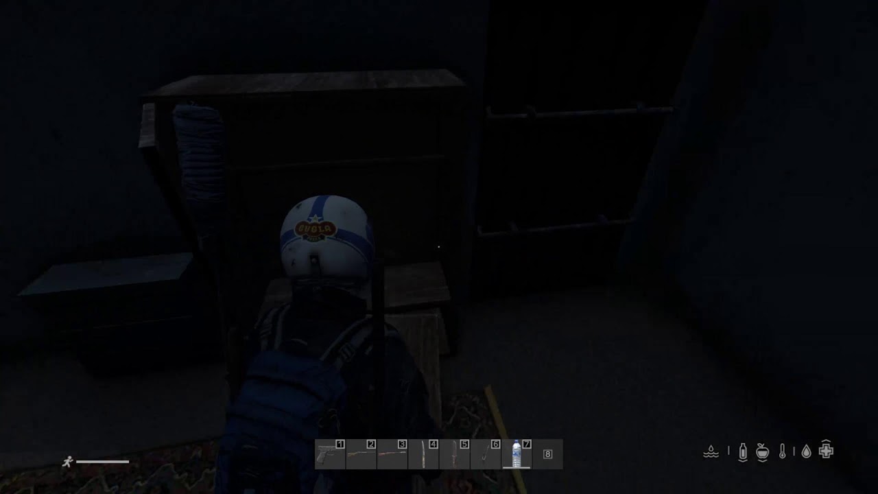 DayZ