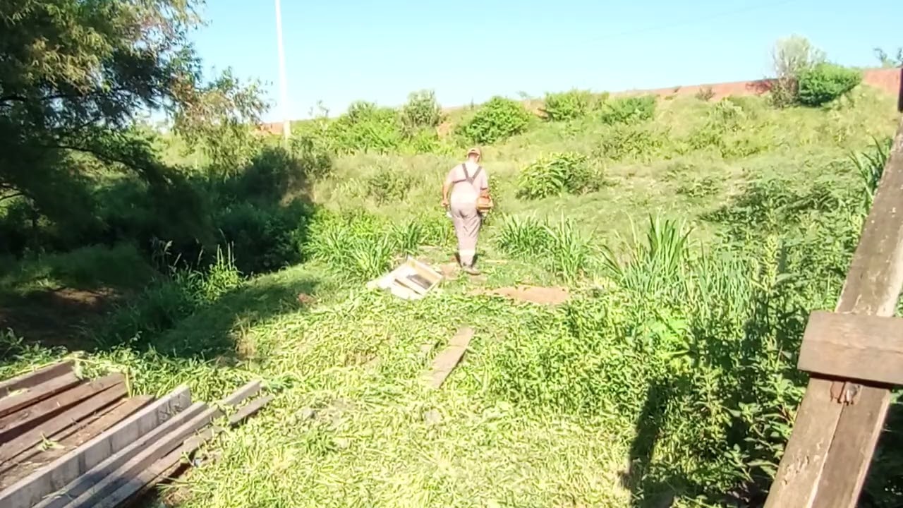 12 de fevereiro de 2026