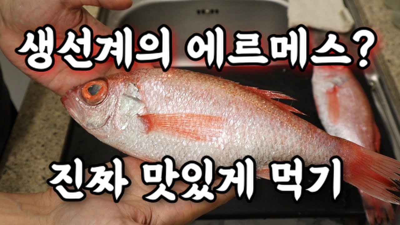 모두가 인정하는 명품 생선 금태, 최고의 요리는?
