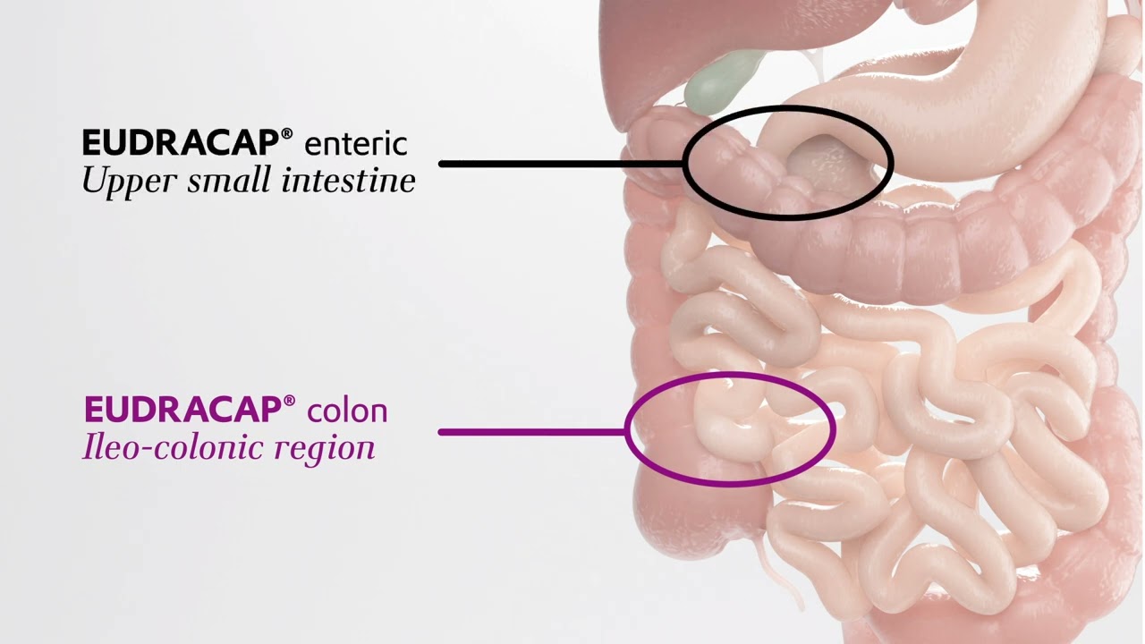 EUDRACAP&reg; colon - the only functional capsule to target the ileo-colonic region | Evonik