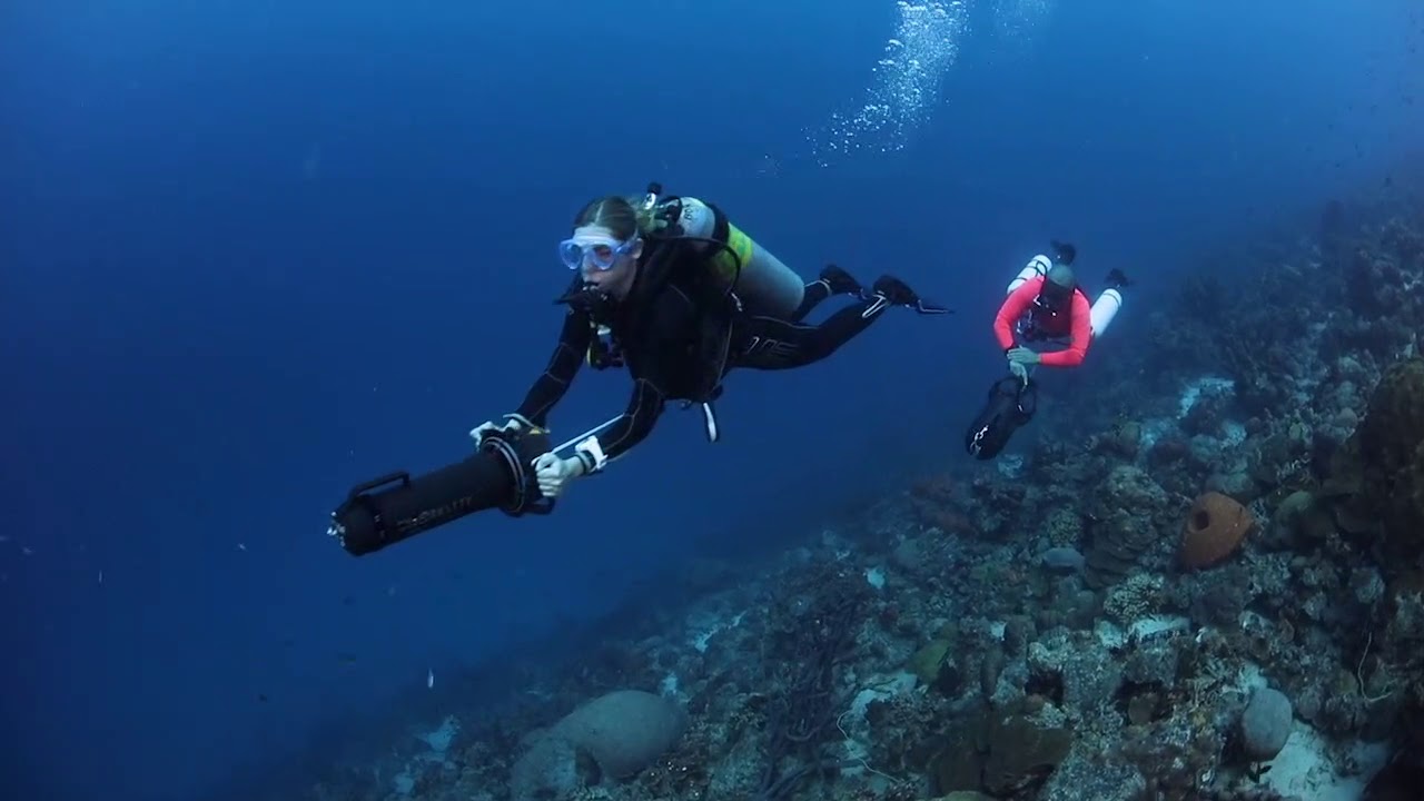 DPV Diving with Buddy Dive Bonaire