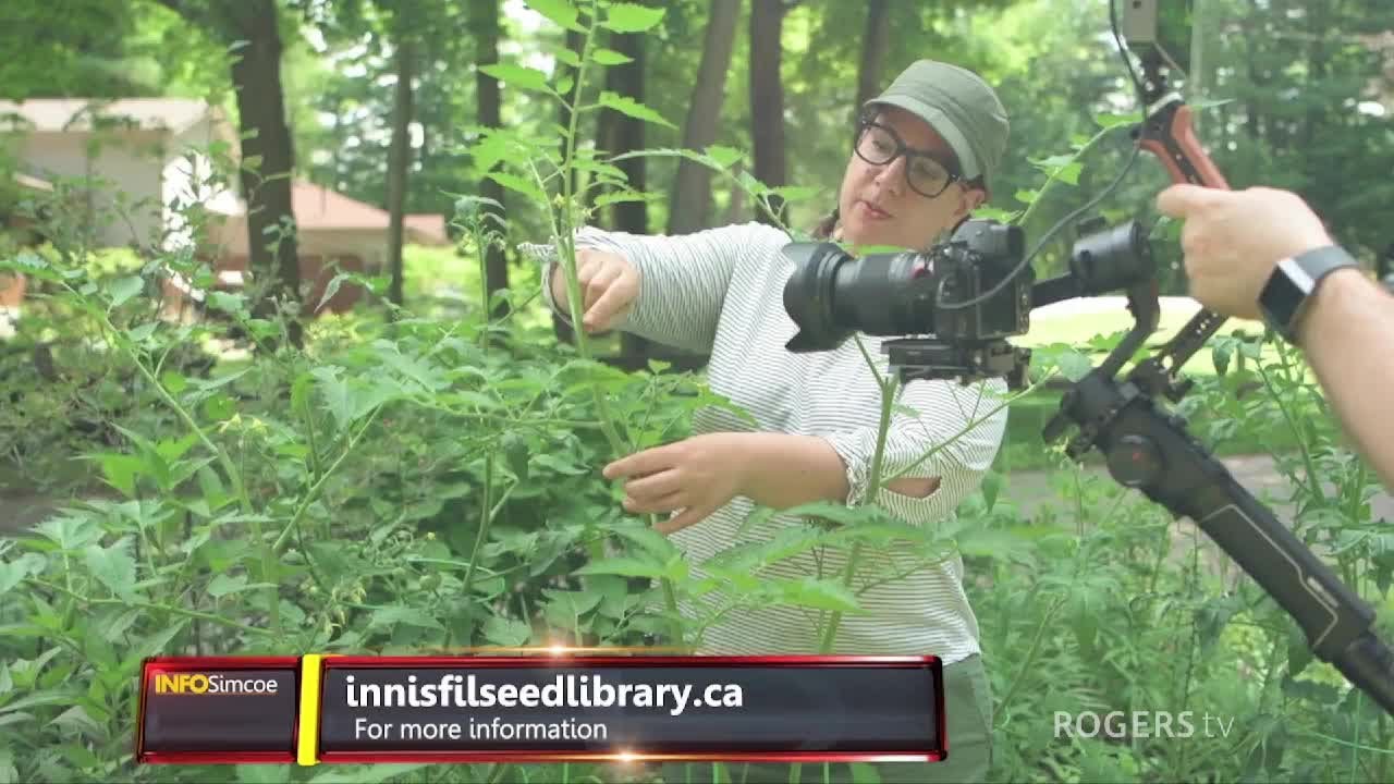 INFO Simcoe | Innisfil Seed Library | Rogers tv