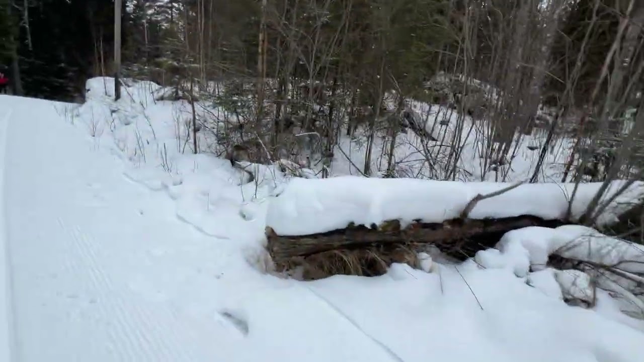 Kjører mot Skullerud skistadion ved Skraperudtjern og samtidig filmer 