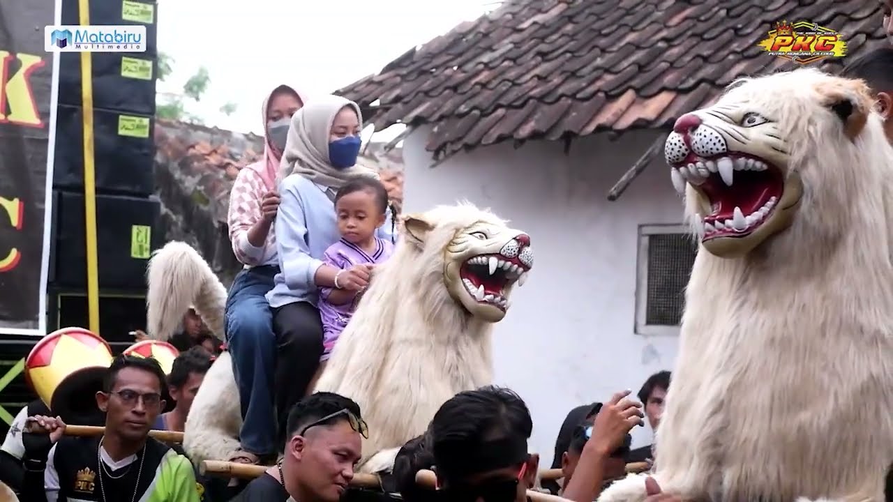 Brondong edan / burok pkc live desa damarguna ciledug 6 juli 2025‎⁨@PKCOFFICIAL
