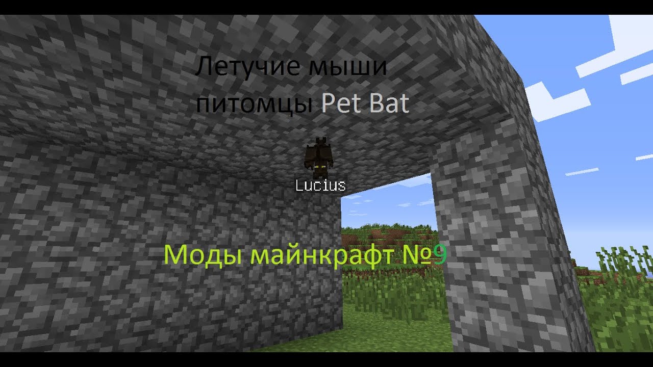 Моды майнкрафт №9 (Pet Bat)