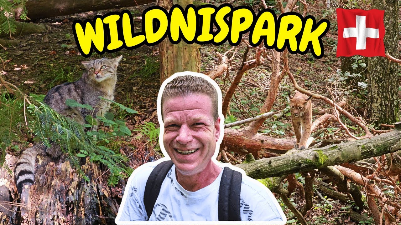 Wanderung im Wildnispark Zürich Langenberg (Luchs, Wildkatze, Elch und Rothirsch)